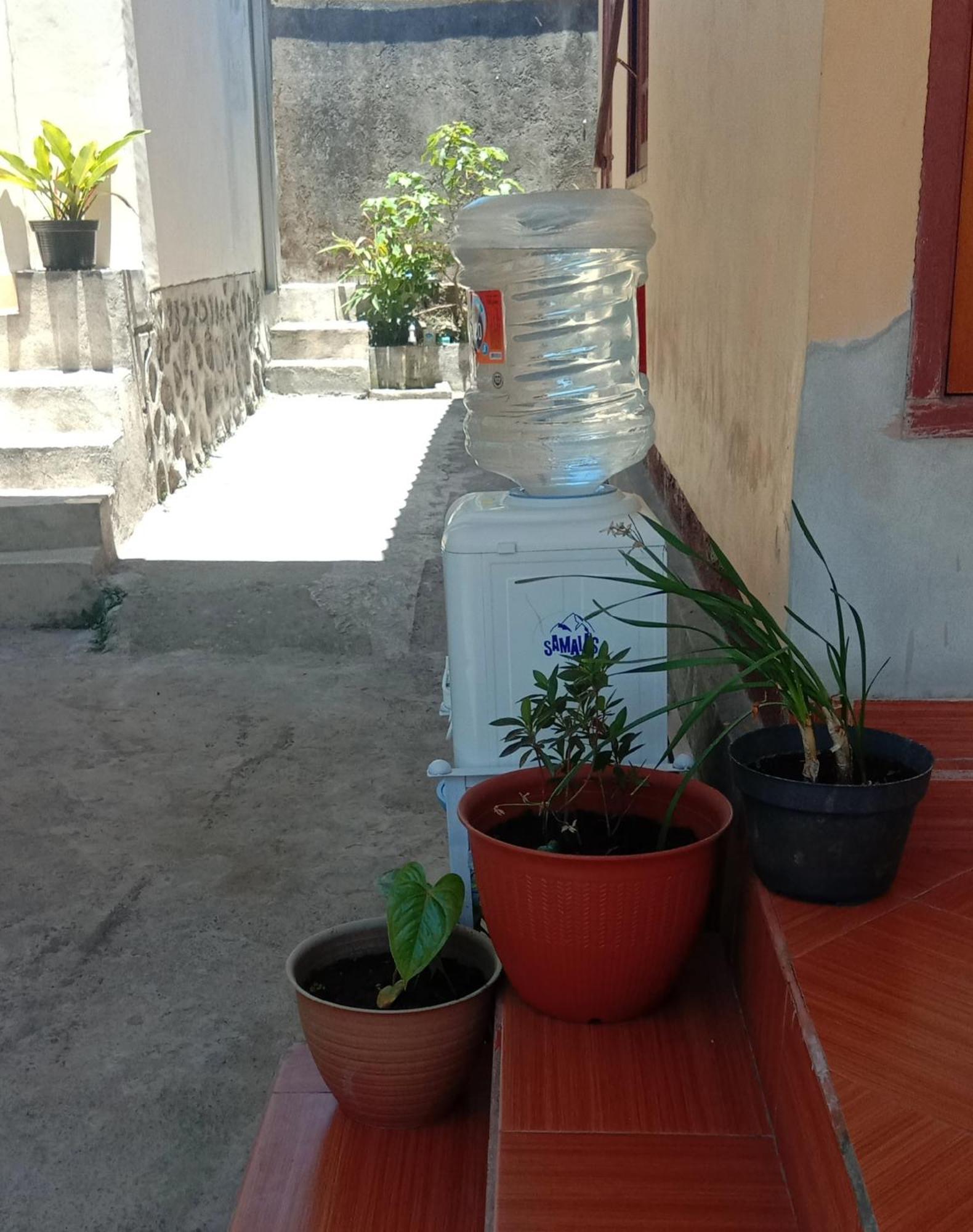 Radiya Guesthouse Sembalunlawang Exteriér fotografie