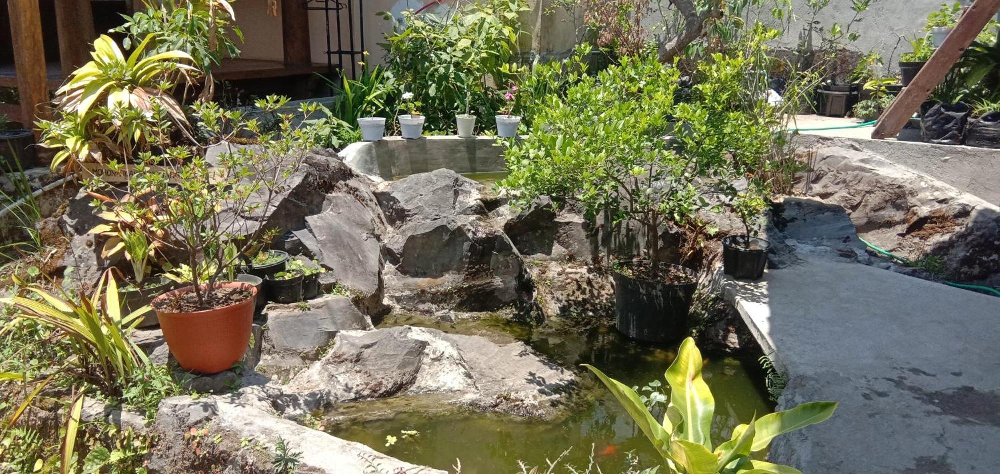 Radiya Guesthouse Sembalunlawang Pokoj fotografie